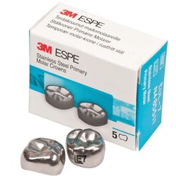 Второй верхний левый моляр, размер 7 (E-UL-7)