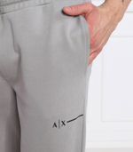 спортивные штаны Armani Exchange - серый(3RZPBB ZJCAZ)