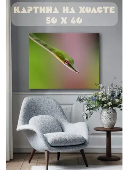 Картина на стену 40 X 50 Змея