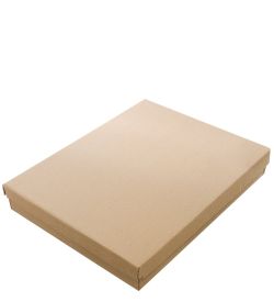 ПК-589 Панно «Санкт-Петербурга Казанский собор» 40х31