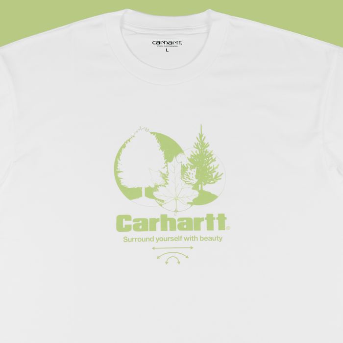 Футболка мужская Carhartt WIP Surround артикул:I033183_white - купить в магазине Дайс