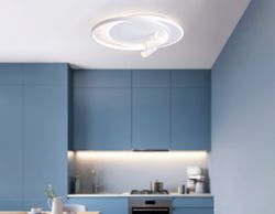 Ambrella Настенно-потолочный светодиодный светильник с пультом LineTech FL51391