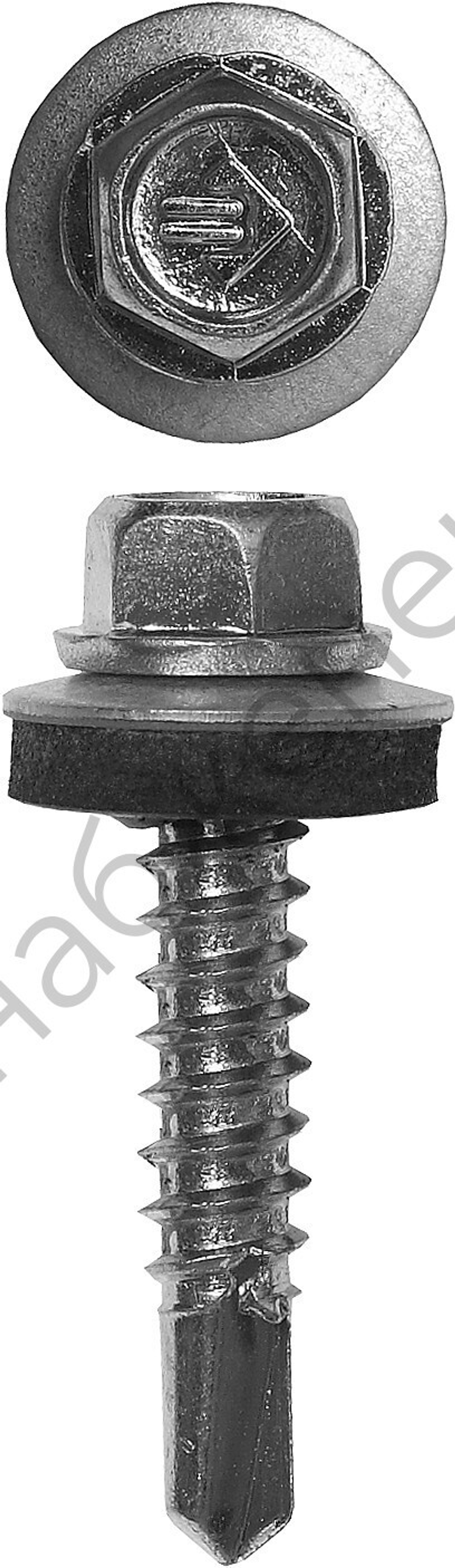 ЗУБР СКМ 75 х 5.5 мм, кровельный саморез, цинк, 800 шт (4-300310-55-075)