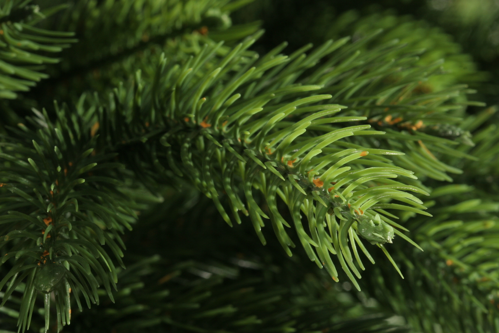 Ель искусственная Царь елка Беверли 120 см БВР-120