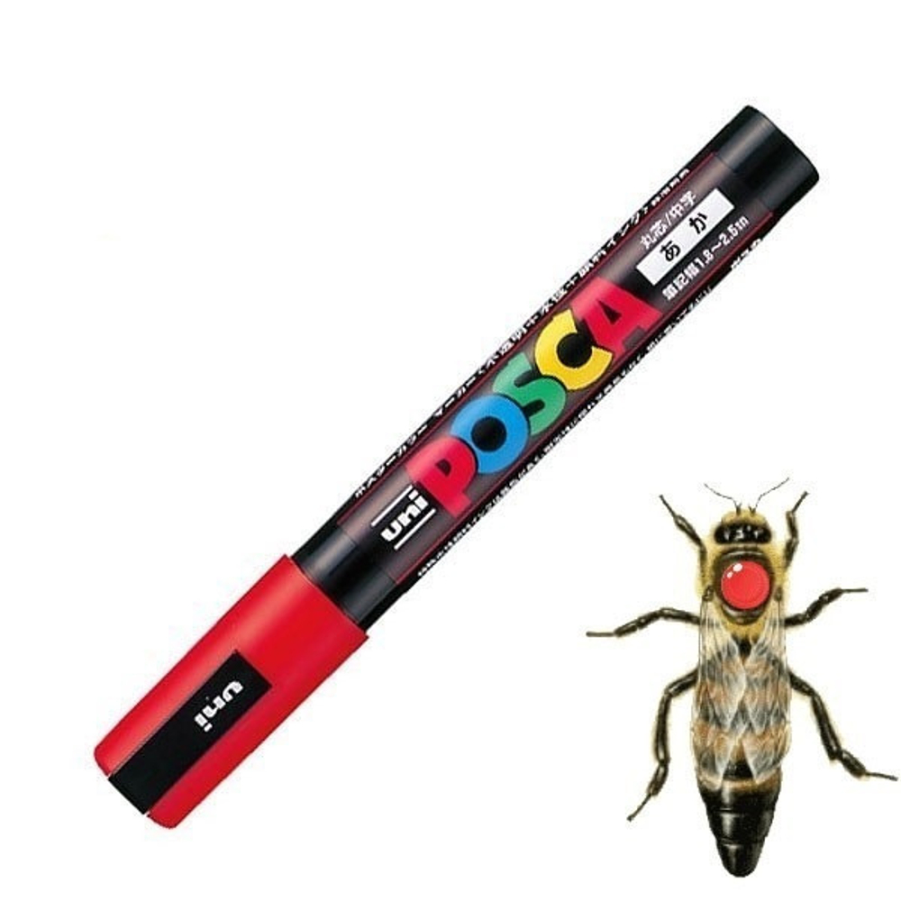 Маркер для метки маток POSCA PC-5M, Япония