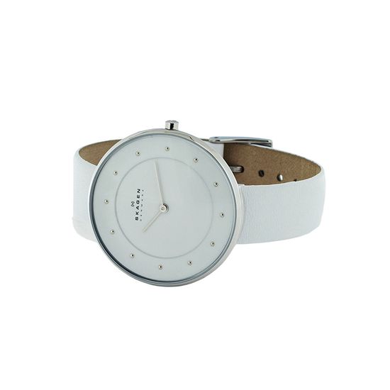 Наручные часы Skagen SKW2136