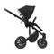 Коляска ANEX m/type PRO 2 в 1 (EP-SE01) anex x Safa Sahin