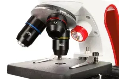 Микроскоп Levenhuk Discovery Pico Terra с книгой