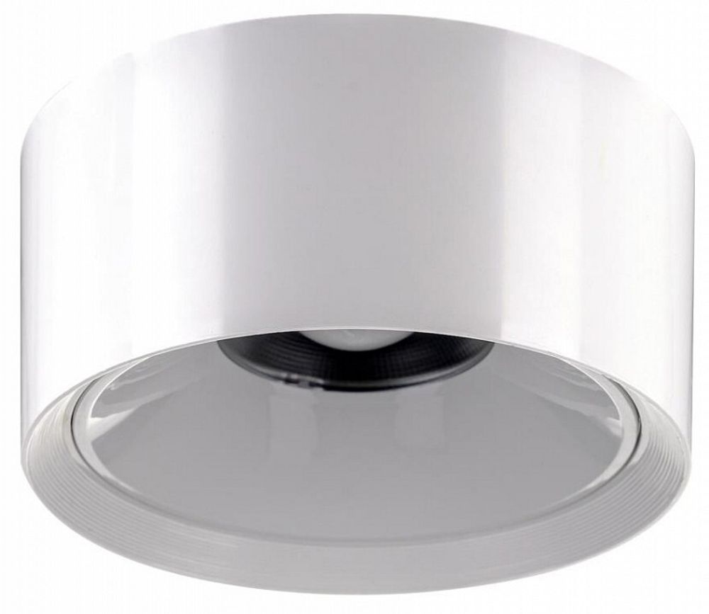 Накладной светильник Citilux Rover CL743090N