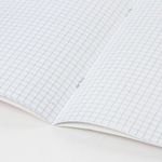 Тетрадь BRAUBERG "EXTRA" 18 л., клетка, плотная бумага 80 г/м2, обложка картон, 105708
