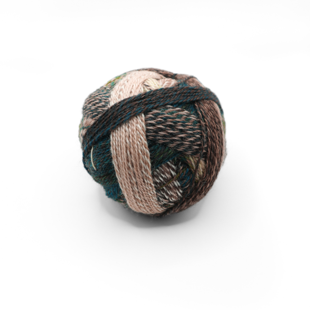 Schoppel Zauberball Crazy - 2250 (Jacket and Trousers)