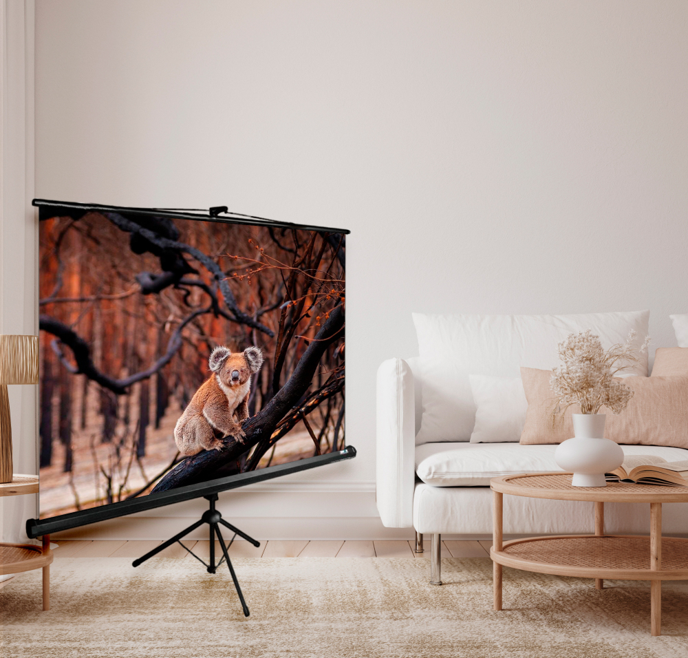 Экран  Cactus CS-PSTE-160X160-BK