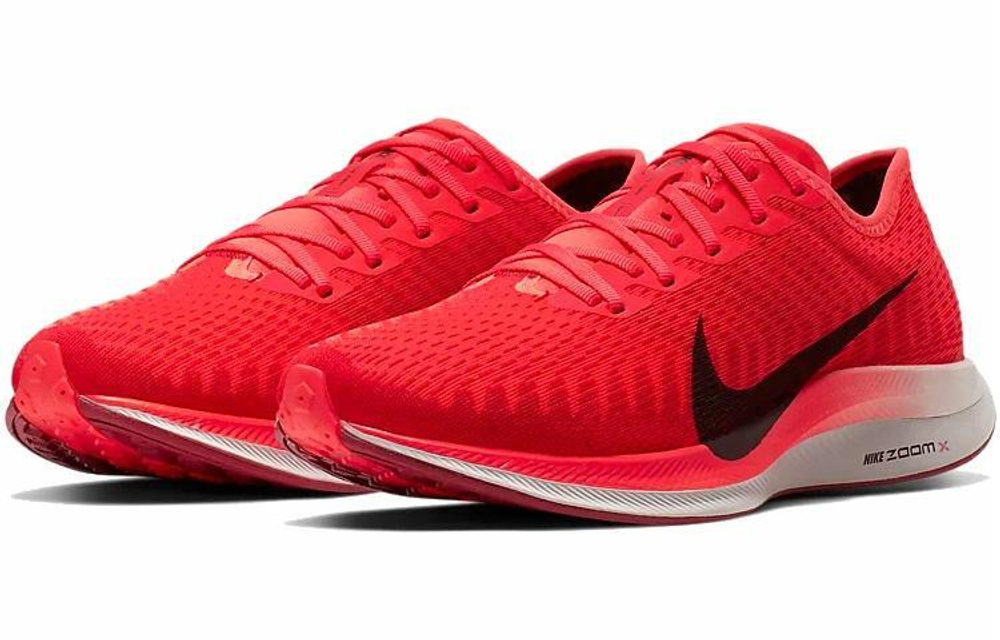 Кроссовки Nike Pegasus Turbo 2