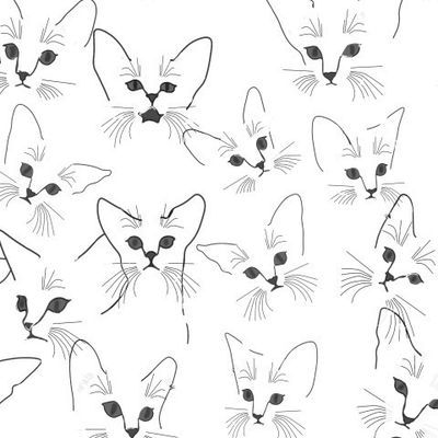 кошки, линейный рисунок,  белые кошки, абиссинские
