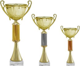 Кубки "Стандарт"