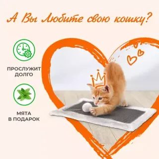 Когтеточки