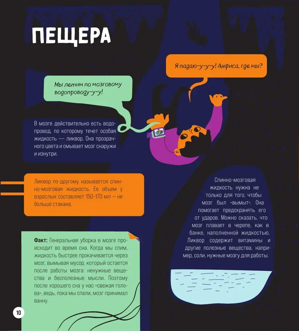 Приключения Тима в стране Мозг