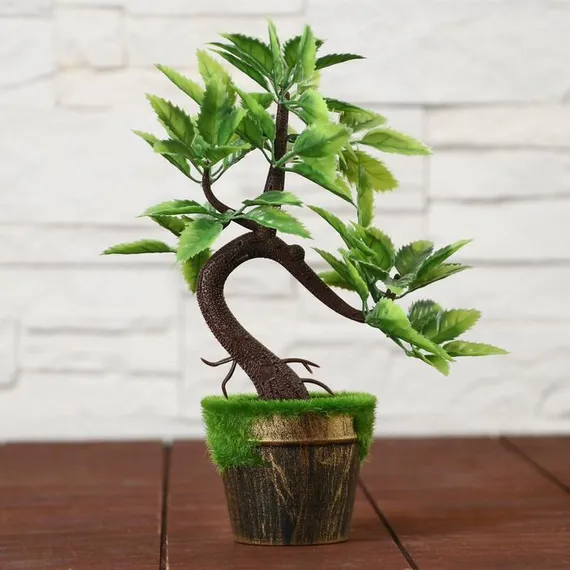 Бонсай в горшке &quot;Осенний&quot; 7x20 см, микс