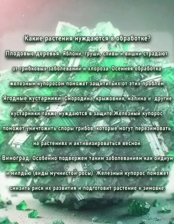 Железный купорос 5кг антисептик для древесины, от плесени, мхов, лишайников, гнили