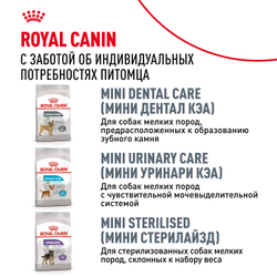 Royal Canin Mini Digestive Care Корм сухой для взрослых собак мелких размеров с чувствительным пищеварением - 3 кг