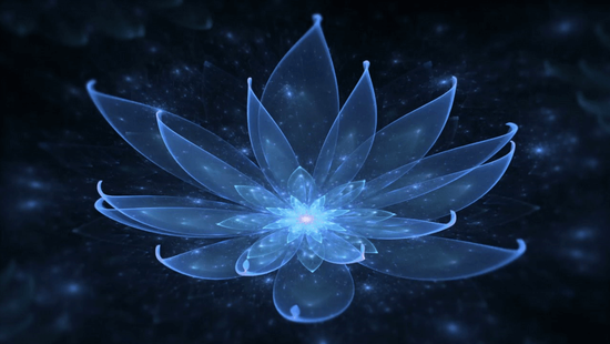 Сеть химчисток «Лотос» г. Санкт-Петербург