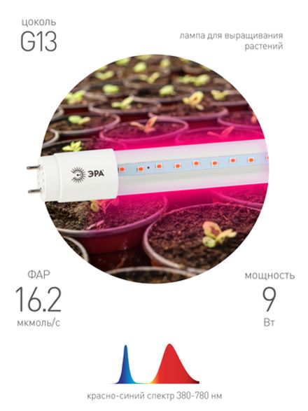 FITO Лампа светодиодная T8 ЭРА красно-синего спектра FITO-9W-RB-T8-G13-NL