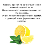 Лимон и мята, кубики восковые для ароматизации, 10 штук