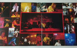 Винтажная виниловая пластинка LP Ian Gillan Band Live At The Budokan (Japan 1978) (No Obi)