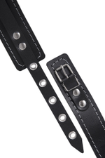 Ошейник однослойный узкий