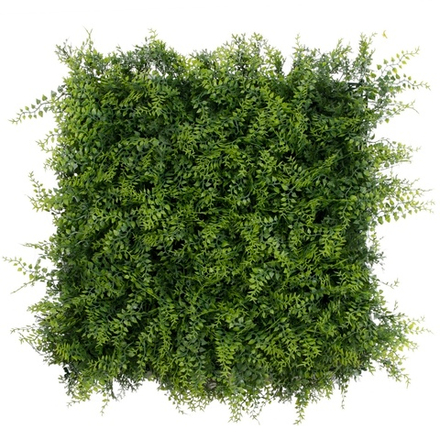 Панель из папоротника 50x50см.