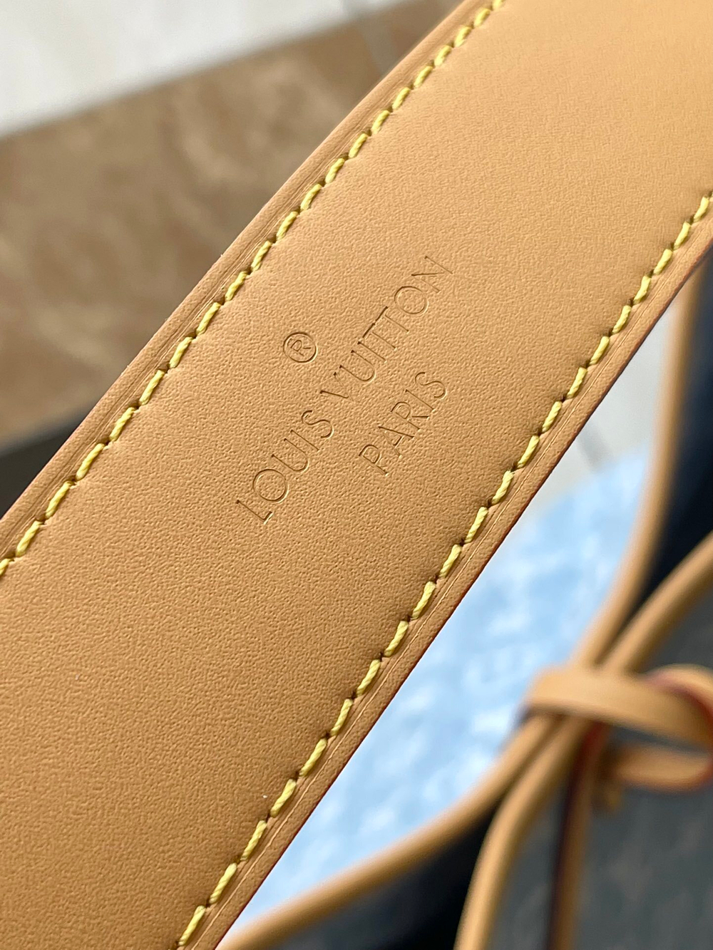 Louis Vuitton CarryAll PM