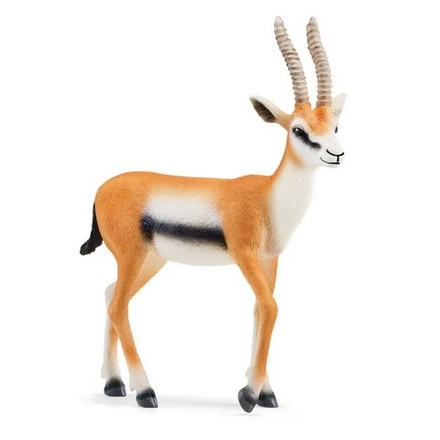 Schleich Wild Life - Газель Томсона 14861 / артикул   14861  / GTIN 4059433543765
