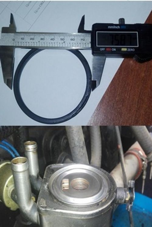 Кольцо уплотнительное теплообменника  масляного фильтра Ricardo N4105; TDK -N 56 4LT/Gasket ring, oil cooler