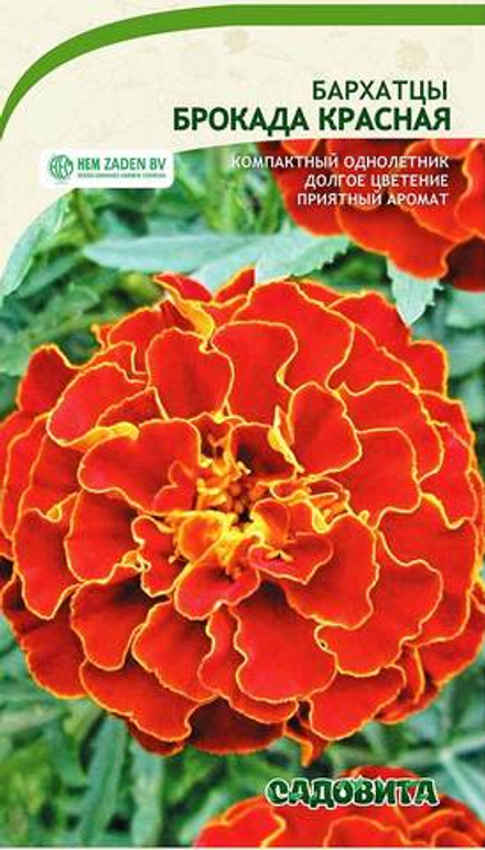 Бархатцы Брокада красная 0,3гр Садовита
