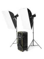 Комплект постоянного света Raylab RL-100 Kit 5600К светодиодный