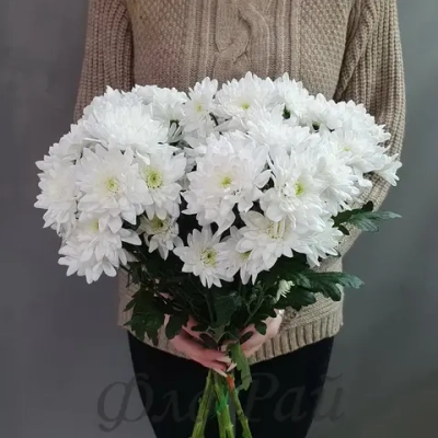 Хризантема кустовая