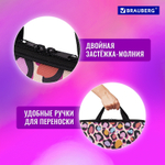 Папка на молнии с ручками BRAUBERG А4 1 отделение полиэстер 20 мм "Fun Spots" (2 штуки в упаковке)