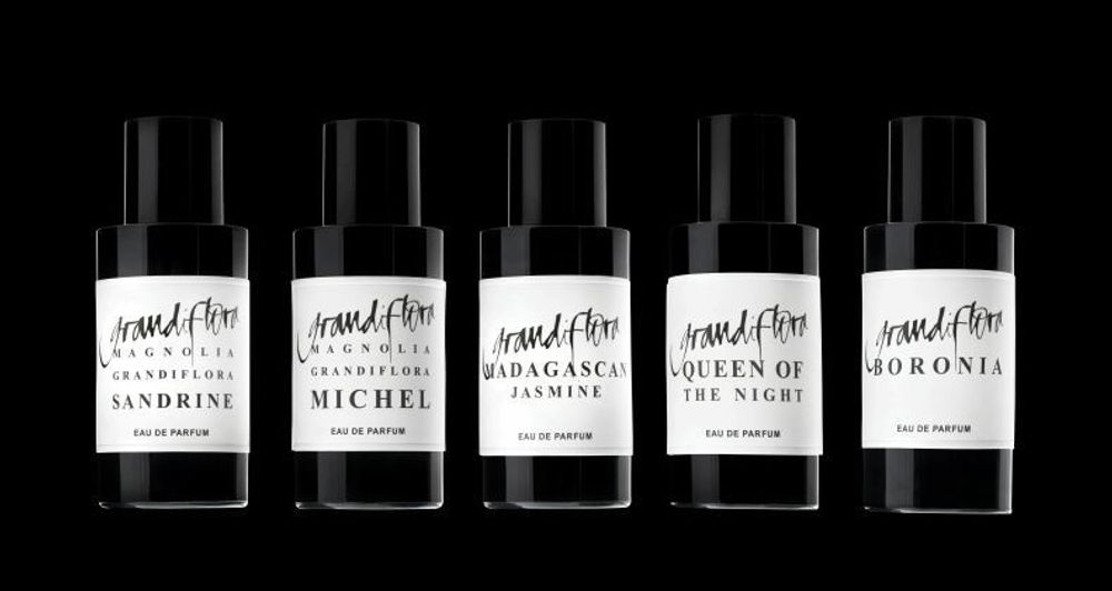 Grandiflora Magnolia Sandrine