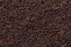 Шлифлента 1830мм  Scotch-brite CRS Р100-120