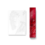 Сет V (BTS) - [TYPE 非] фотобук + сет постеров