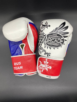 Боксерские перчатки Arcade Rus Team