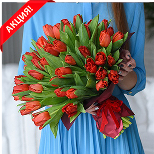 Купить Букет 51 красный тюльпан