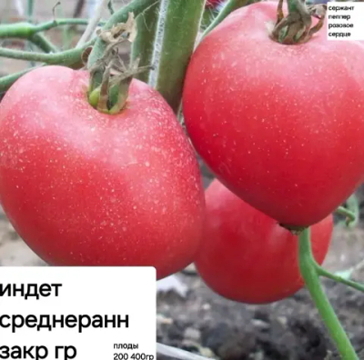 СЕРЖАНТ ПЕППЕР РОЗОВОЕ СЕРДЦЕ