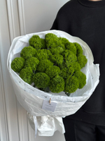 Моно букет из диантусов сорта Грин трик 25 шт