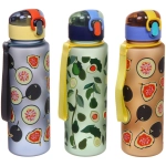 Бутылка питьевая пластиковая 700мл «Инжир», микс цветов