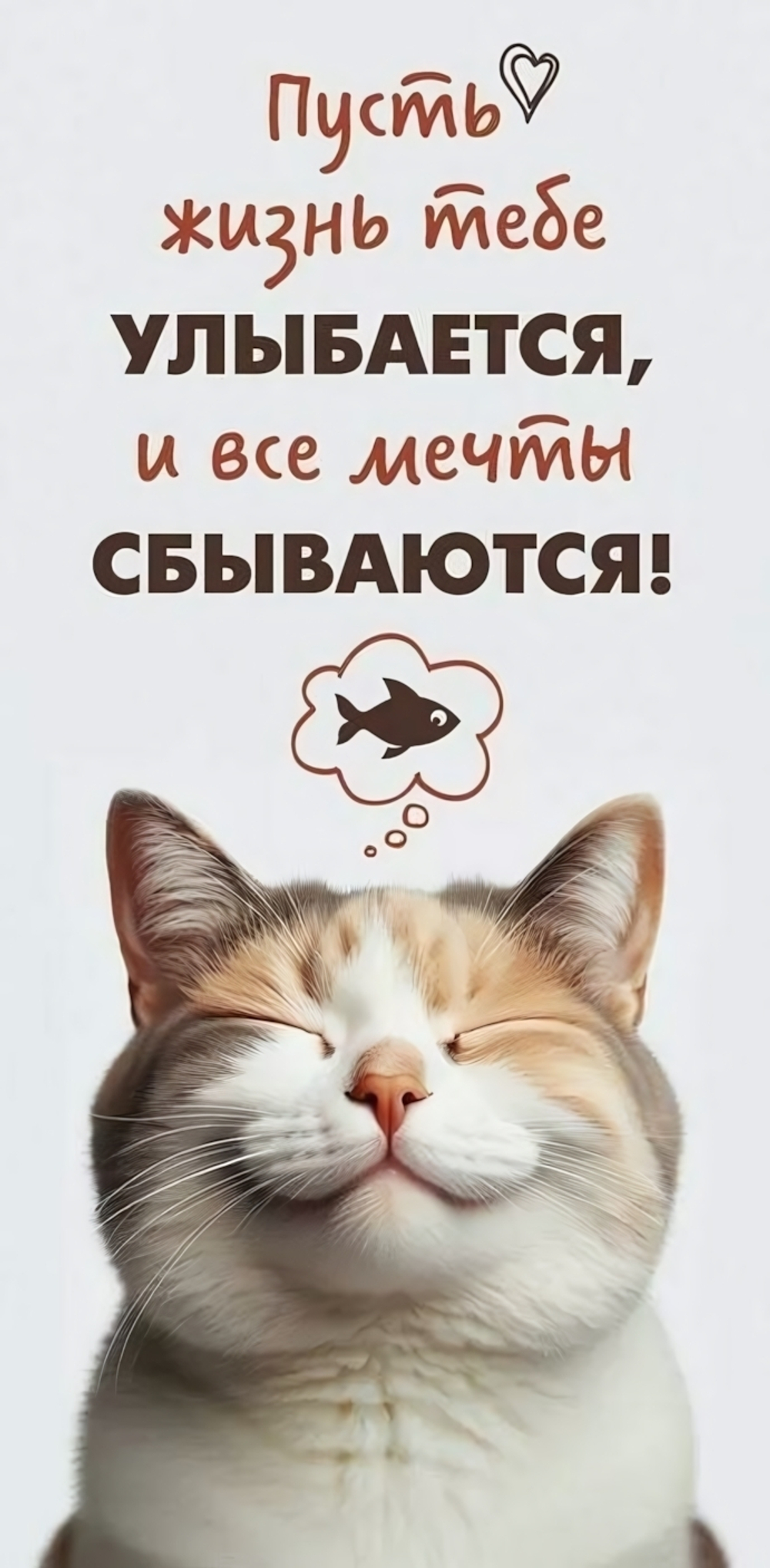 Конверт для денег "Пусть жизнь тебе улыбается!" (ГК Горчаков)