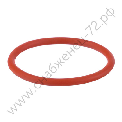 Кольцо уплотнительное IPT 100 NKS0002