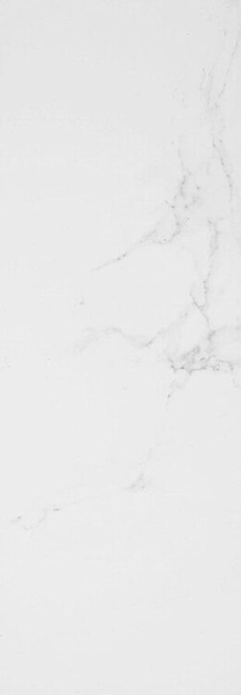 Porcelanosa Marmol Carrara Blanco 45x120