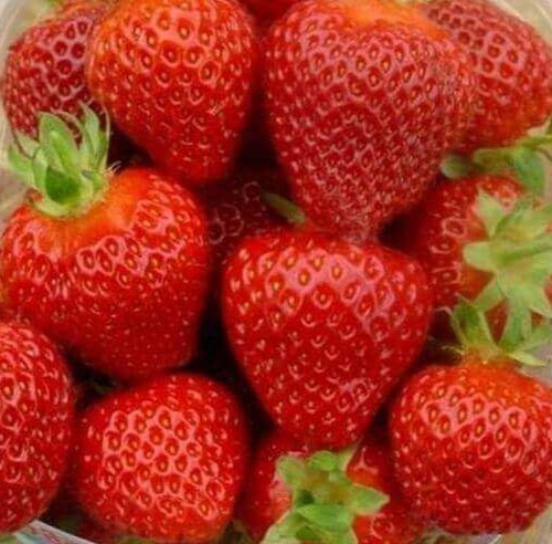 Ромина (Romina)