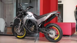 Водж 300 Ралли